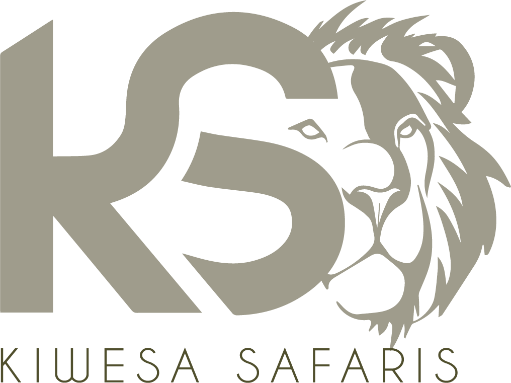 Kiwesa Safaris